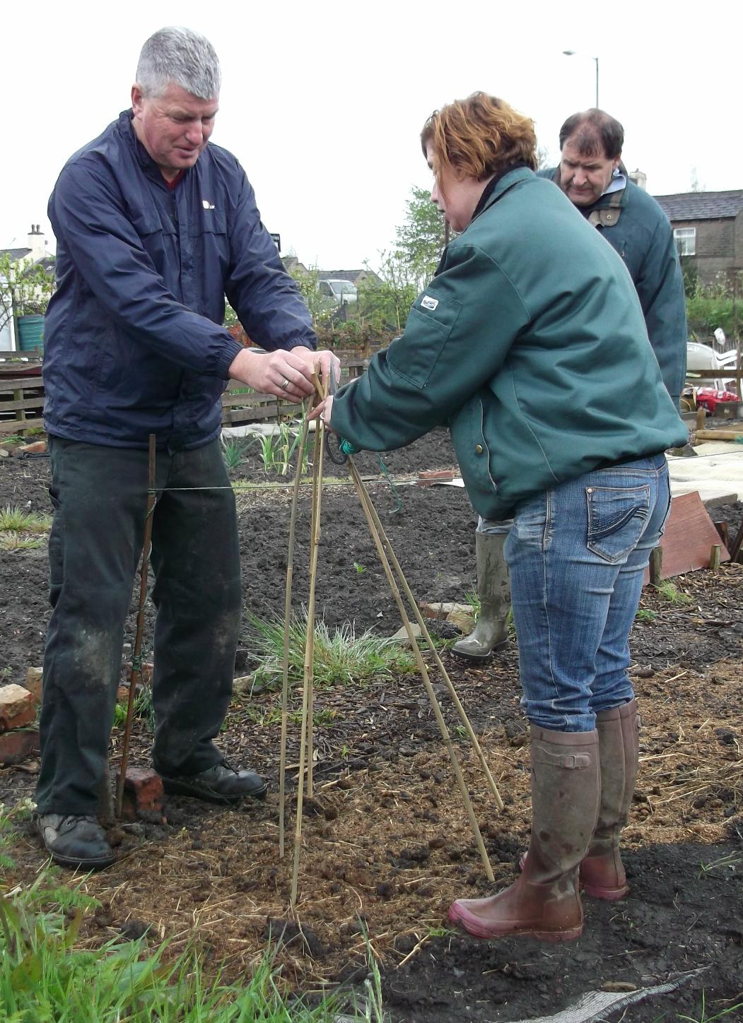 Planting Peas